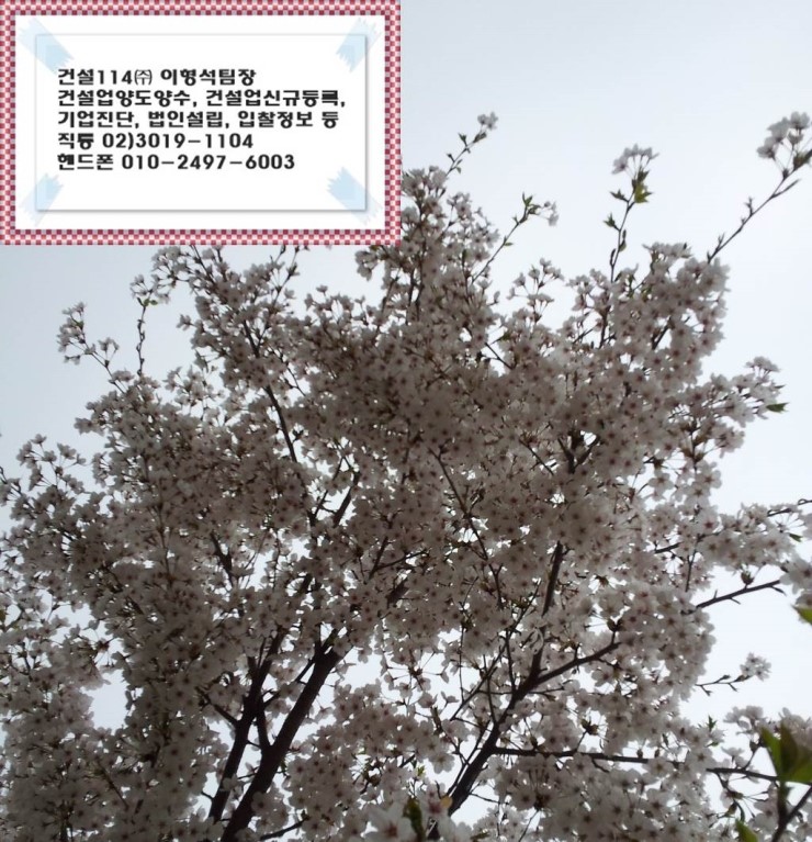 동일건설인력 이미지