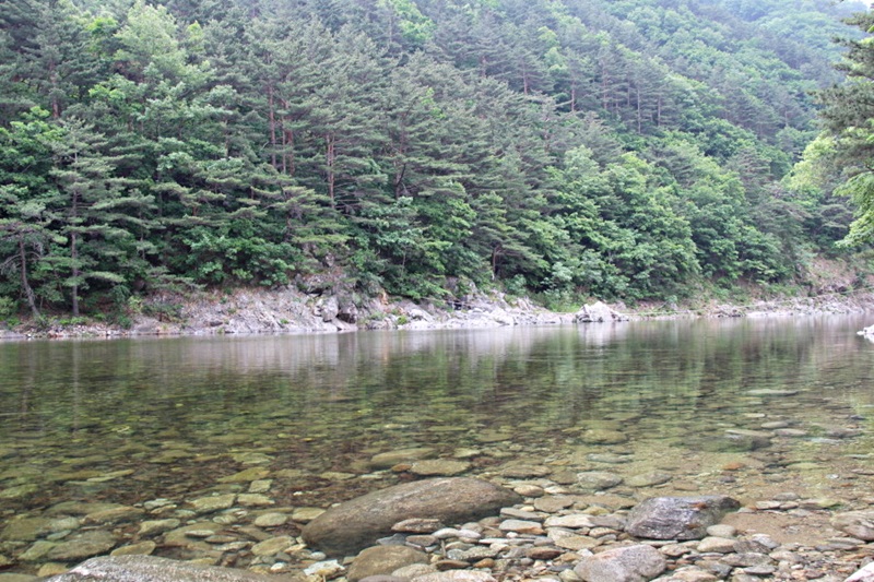 해담마을 이미지