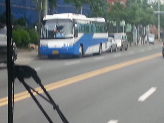 백조사 이미지