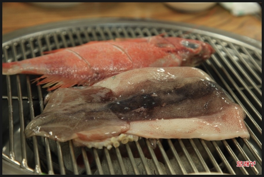 연수가자미 이미지