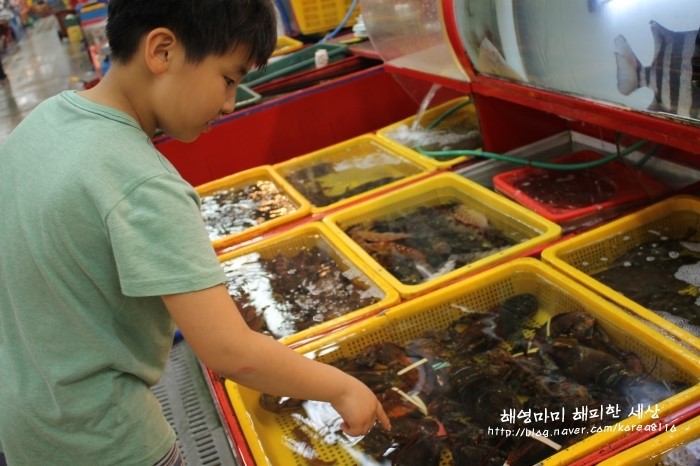대영상회 이미지