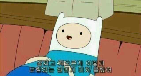씨드(SeeD) 이미지