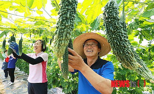 웰빙식품 이미지