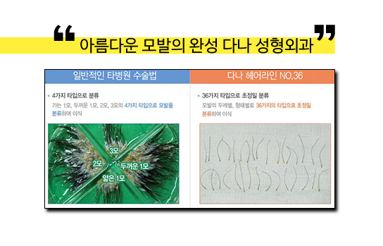 다나헤어 이미지