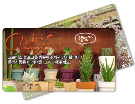 크로비스 이미지