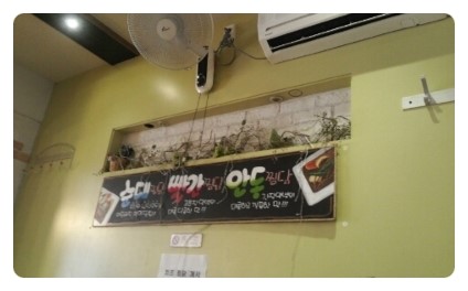 마당나온수탉 이미지