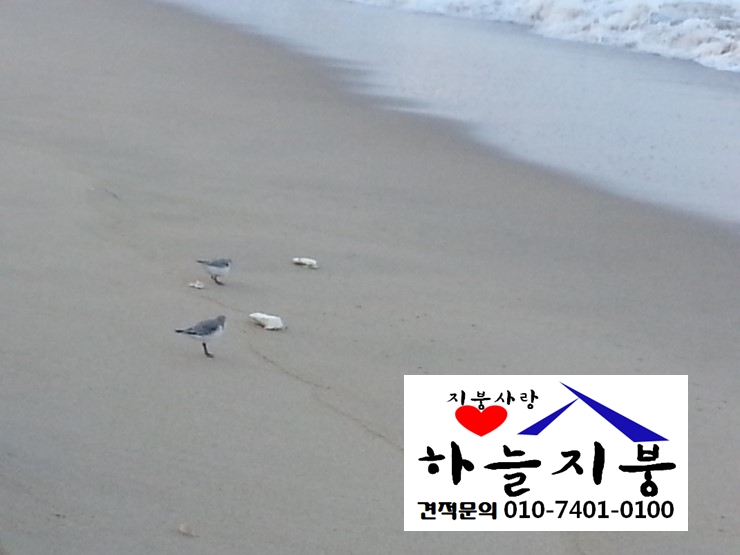 윤씨네민박 이미지
