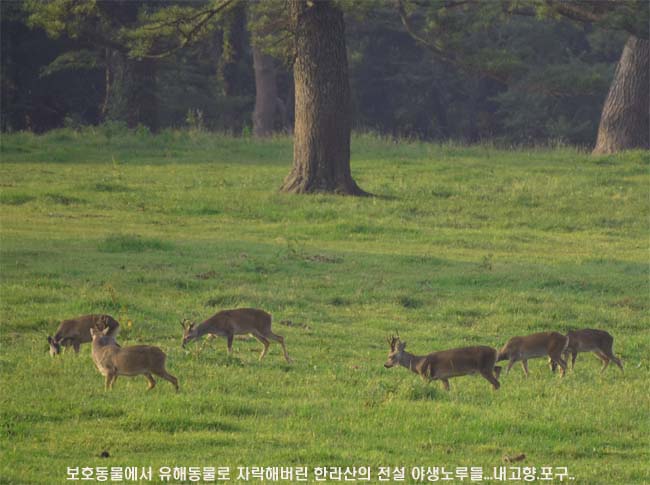 산과숲 이미지