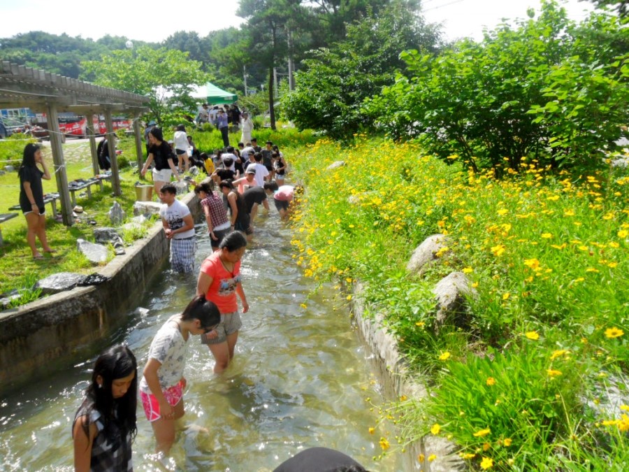 농촌국수 이미지