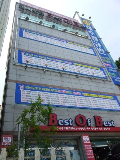 비오비컨설팅 이미지