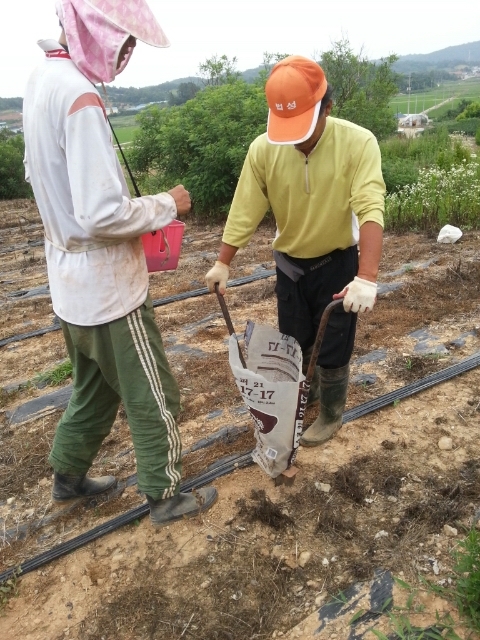웰빙샘 이미지