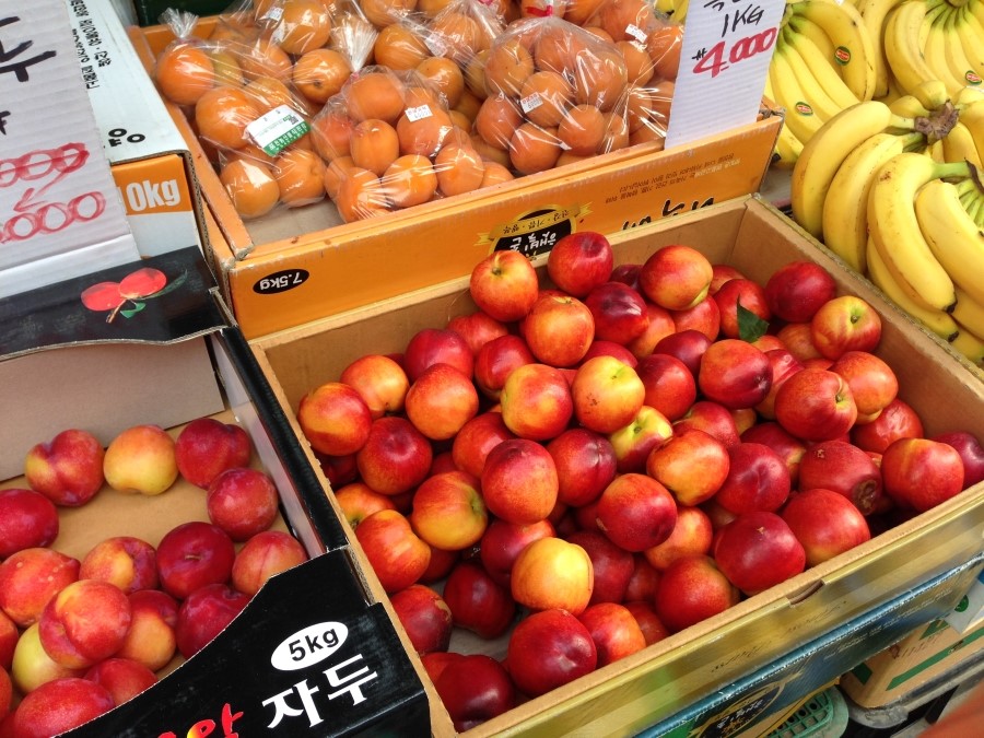 락락소풍 이미지