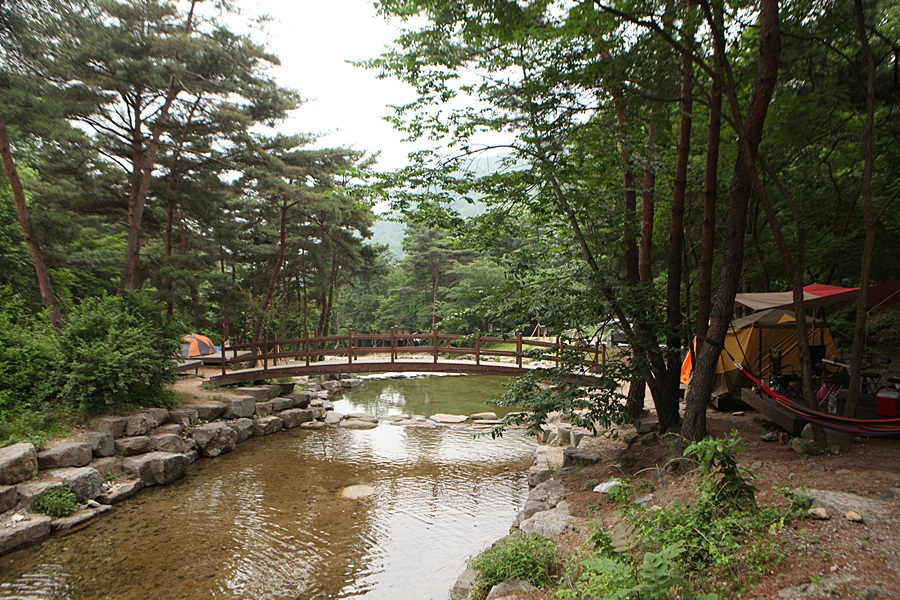 오도산자연휴양림 이미지