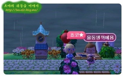 초코통신 이미지