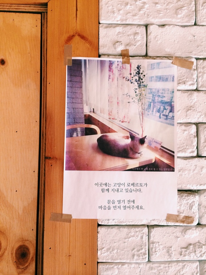 아델라헤어 이미지