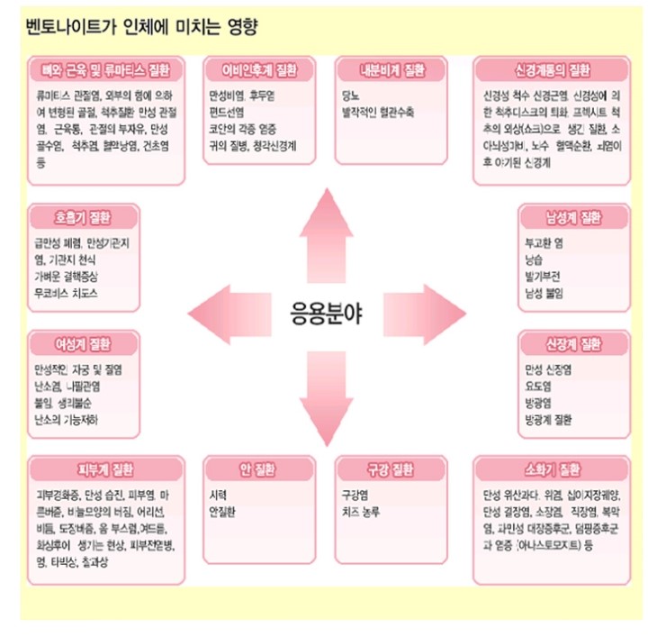 엘샤론 코리아 이미지