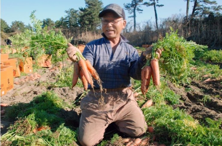 당근노래마을 이미지