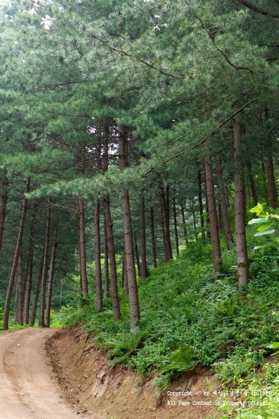 산방환담 이미지