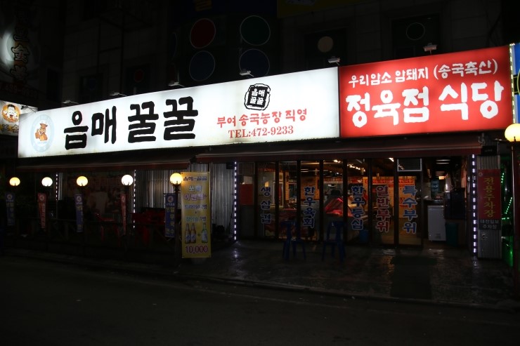 음매꿀꿀 이미지