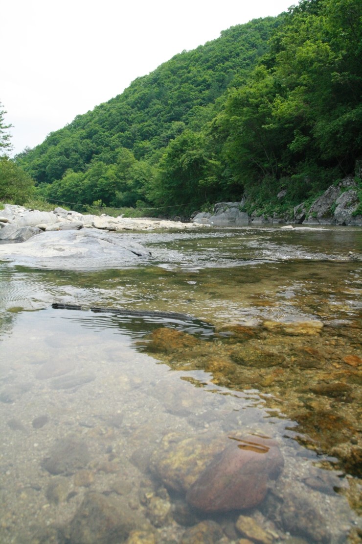 와라캠핑장 이미지