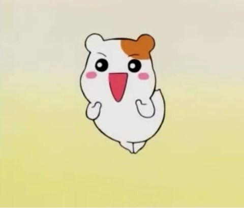 와이비 이미지