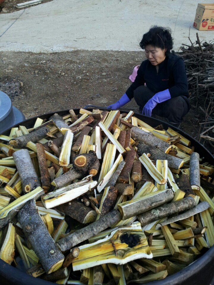 우리참옻 이미지
