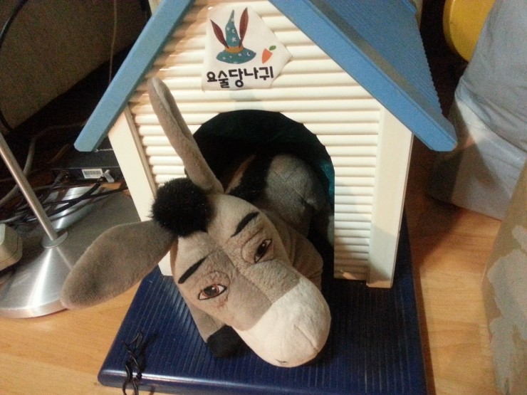 요기요술 이미지