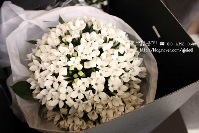 더베리컴퍼니 이미지