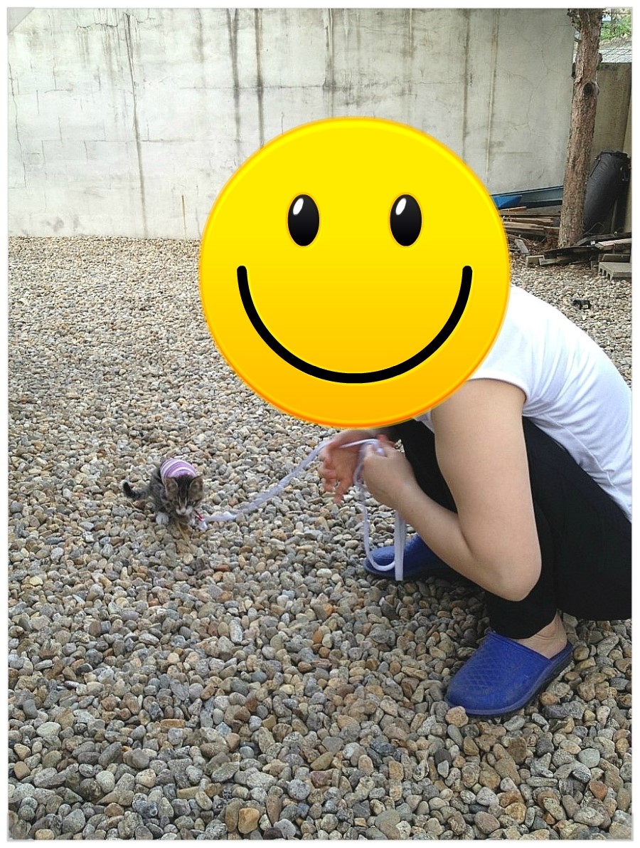 법수산장 이미지