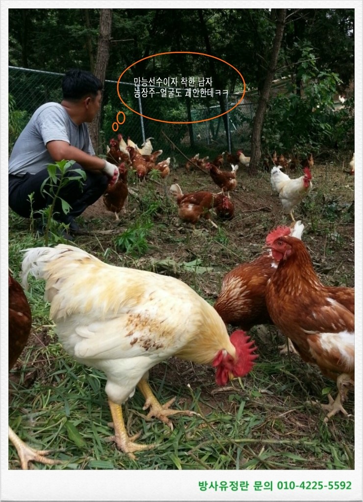월출산힐링팜 이미지