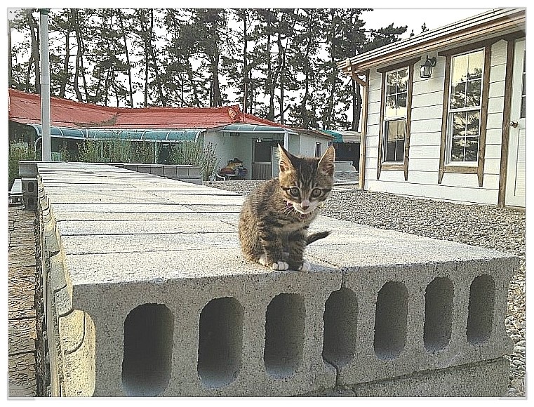 법수산장 이미지