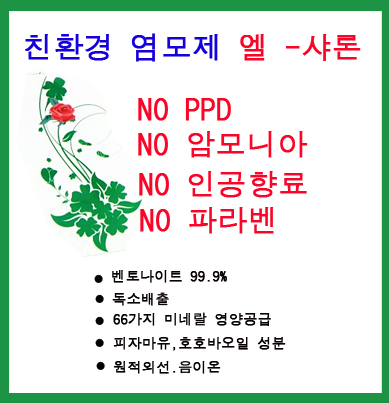 엘샤론 코리아 이미지