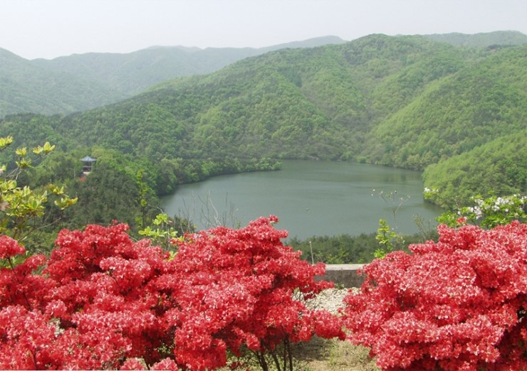 보화관광 이미지
