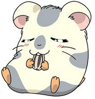 해바라기푸드 이미지