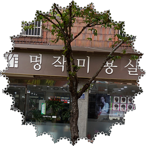 헤어휘날리기 이미지