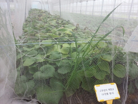삼척농수산 이미지