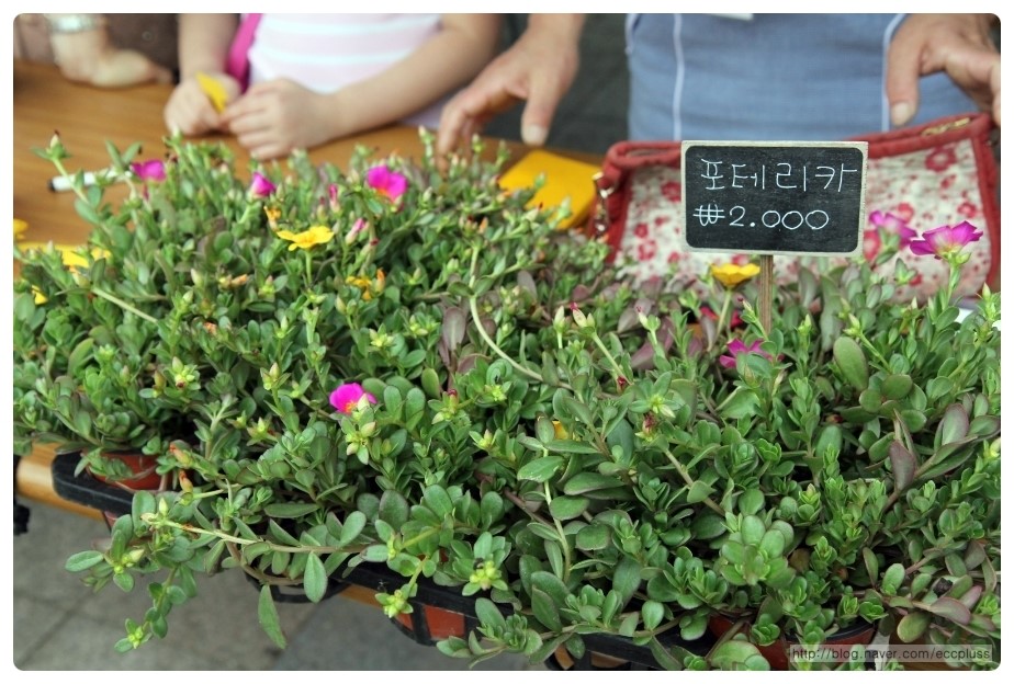 협동조합산수다락 이미지