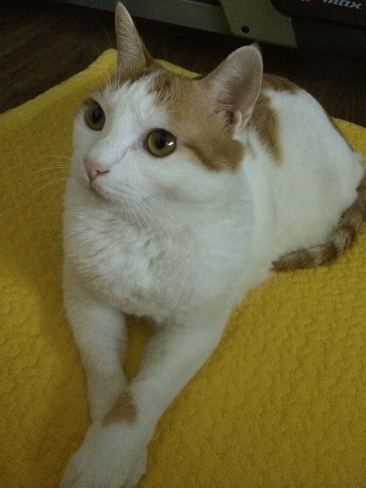 누리커뮤니케이션 이미지