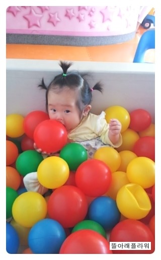 거북이자동차나라 이미지