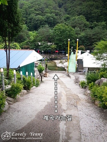 까치민박 이미지