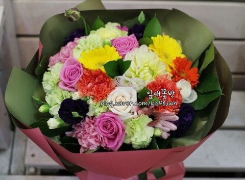 잎새꽃방 이미지
