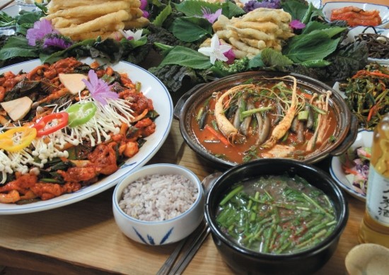 황금오리 이미지