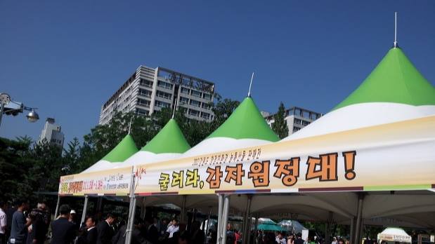굴러라감자 이미지