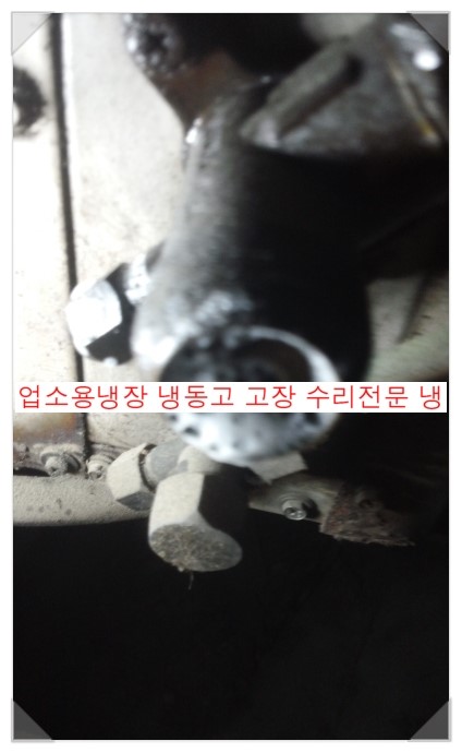 참마음정육점 이미지