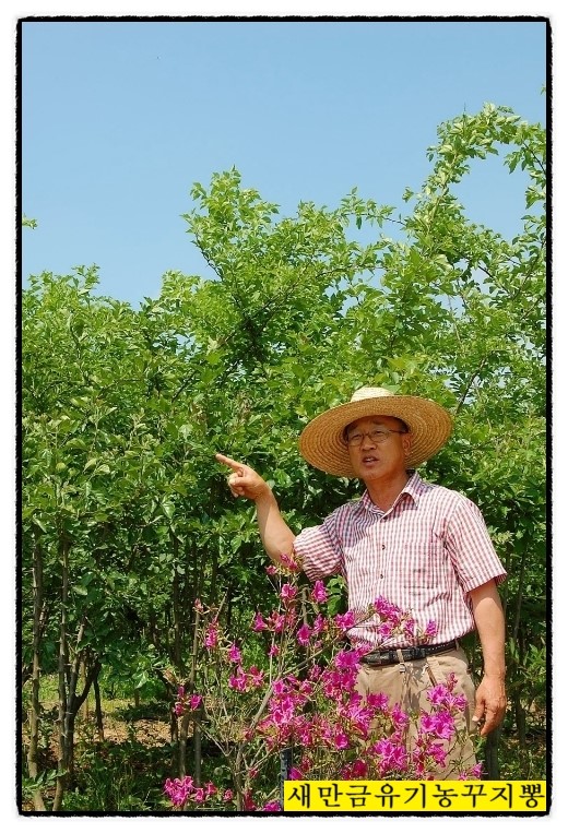 새만금유기농꾸지뽕 이미지