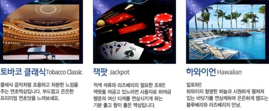 퀸비(Queen Bee) 이미지