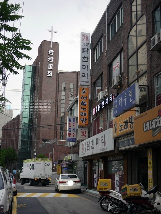 동강참치 이미지