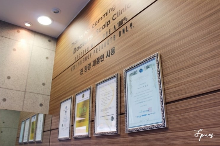 피자헛시화 이미지