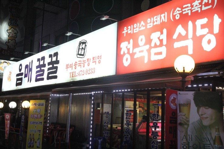 음매꿀꿀 이미지