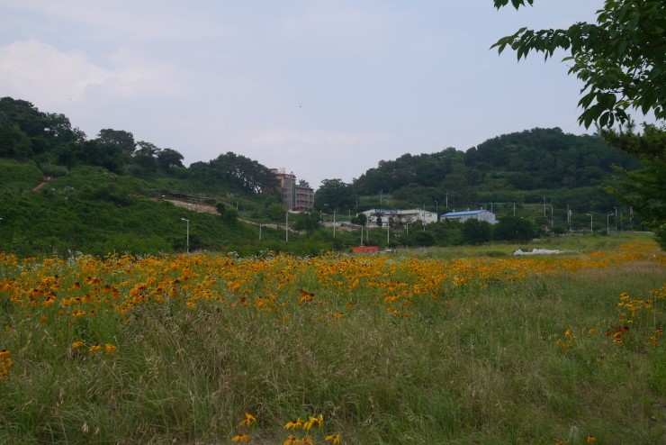 진해반점 이미지